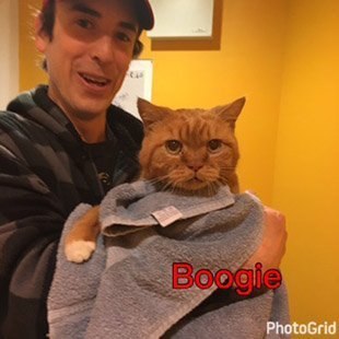 Boogie