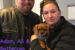 IMG_0342