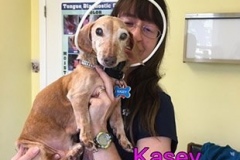 Kasey