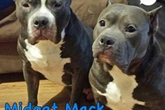 MidgetMack