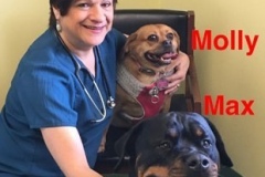 MollyMax