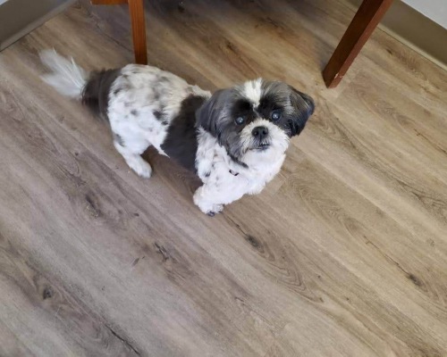 Resized_20200718_100725