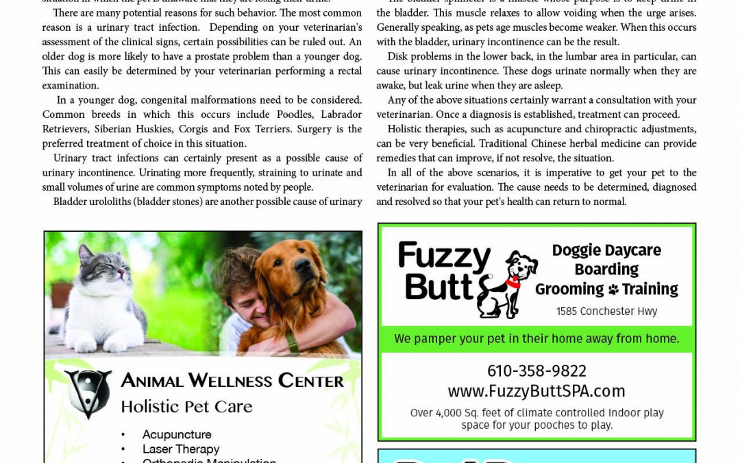 Garnet Valley Living Jan 2017